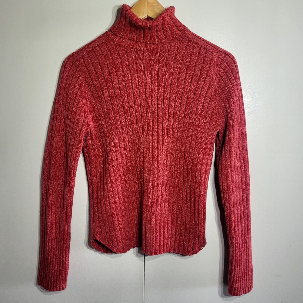 American Eagle Outfitters turtleneck Sweater